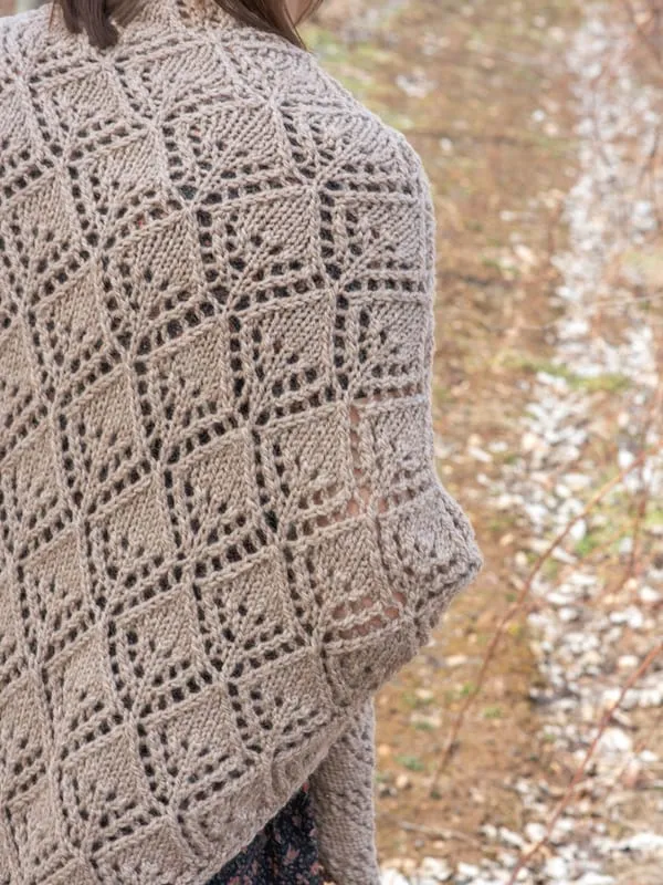 Dover Shawl - *Free pattern by Berroco*